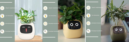 Smart Planter Endless Fun Over 49 Rich Expressions 7 Smart Sensors And -