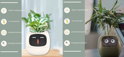 Smart Planter Endless Fun Over 49 Rich Expressions 7 Smart Sensors And -
