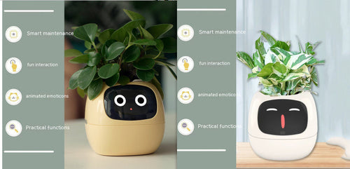 Smart Planter Endless Fun Over 49 Rich Expressions 7 Smart Sensors And -