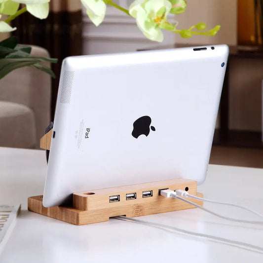 Bamboo Docking Station With 4 USB Port Fuchsia Molly