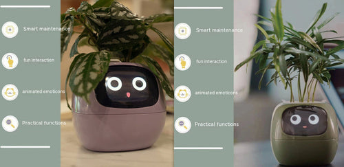 Smart Planter Endless Fun Over 49 Rich Expressions 7 Smart Sensors And -