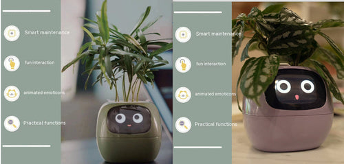 Smart Planter Endless Fun Over 49 Rich Expressions 7 Smart Sensors And -