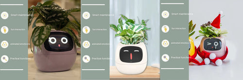 Smart Planter Endless Fun Over 49 Rich Expressions 7 Smart Sensors And -