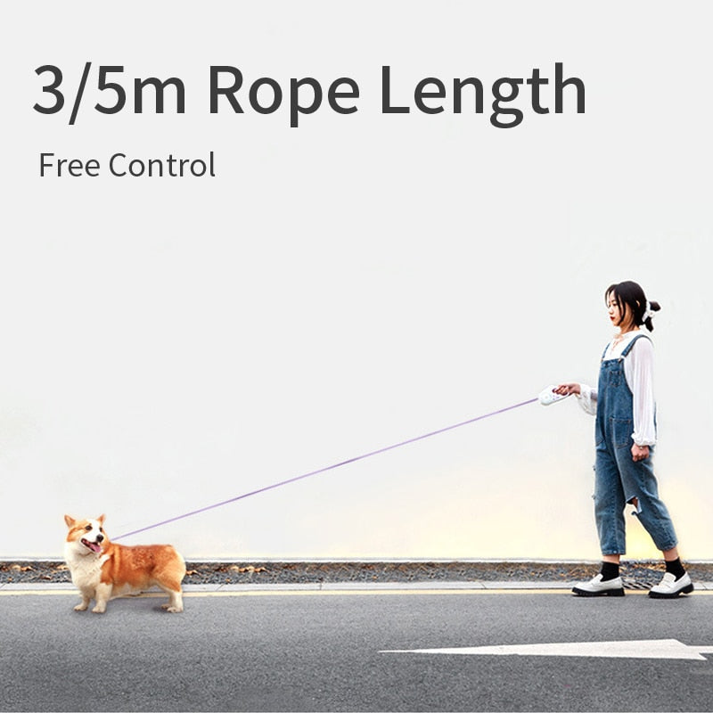 Automatic Retractable  Leash Lighting Dog
