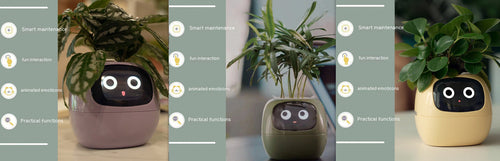Smart Planter Endless Fun Over 49 Rich Expressions 7 Smart Sensors And -
