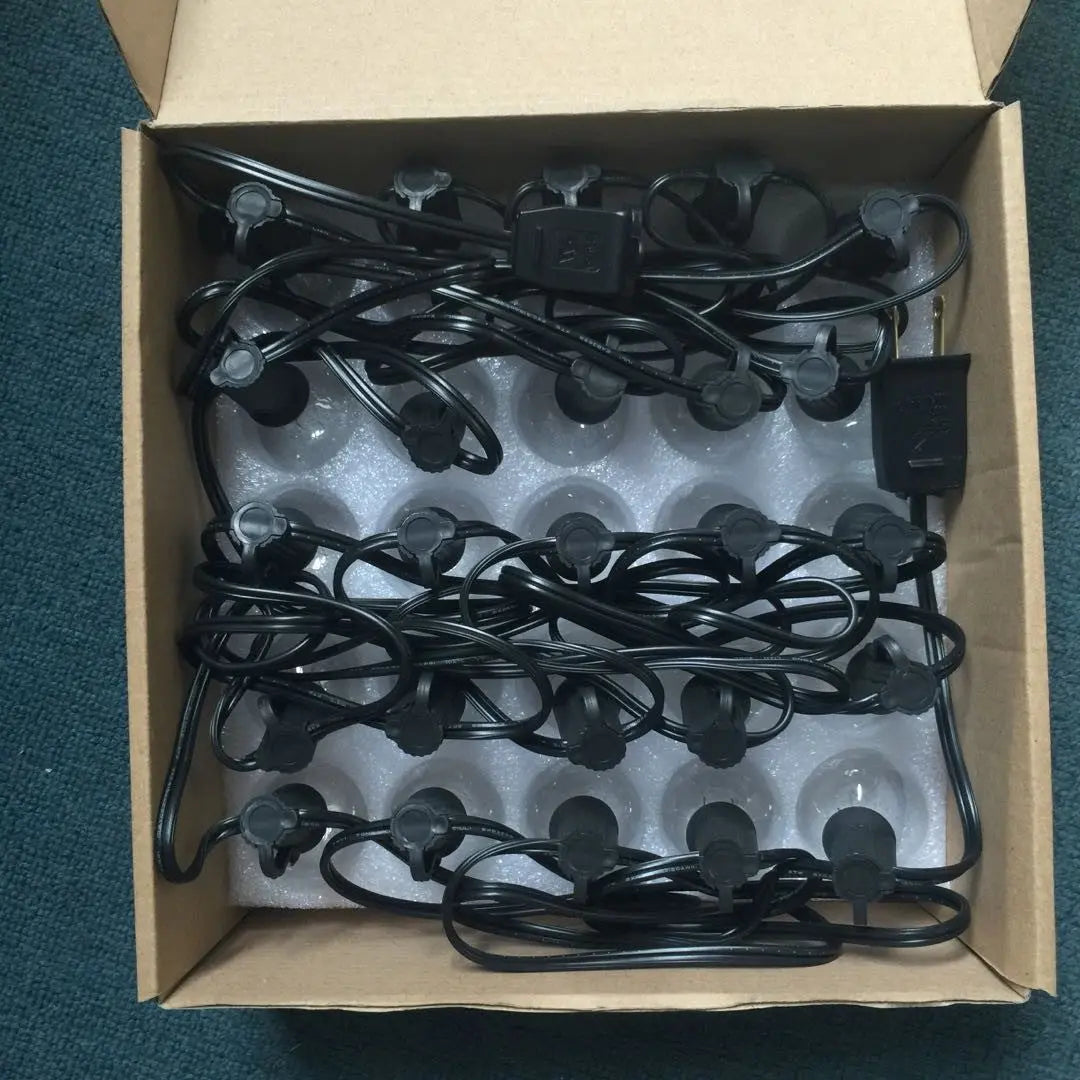 String Lights Globe 25ft 25 Edison Incasdescent G40 Bulbs