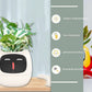 Smart Planter Endless Fun Over 49 Rich Expressions 7 Smart Sensors And - 