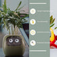 Smart Planter Endless Fun Over 49 Rich Expressions 7 Smart Sensors And - 