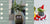 Smart Planter Endless Fun Over 49 Rich Expressions 7 Smart Sensors And - 