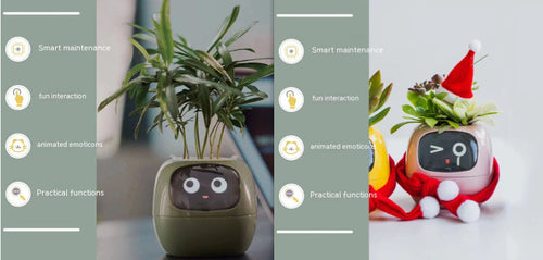 Smart Planter Endless Fun Over 49 Rich Expressions 7 Smart Sensors And - 
