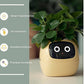 Smart Planter Endless Fun Over 49 Rich Expressions 7 Smart Sensors And - 