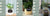 Smart Planter Endless Fun Over 49 Rich Expressions 7 Smart Sensors And - 