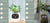 Smart Planter Endless Fun Over 49 Rich Expressions 7 Smart Sensors And - 