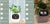 Smart Planter Endless Fun Over 49 Rich Expressions 7 Smart Sensors And - 