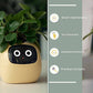 Smart Planter Endless Fun Over 49 Rich Expressions 7 Smart Sensors And - 