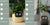 Smart Planter Endless Fun Over 49 Rich Expressions 7 Smart Sensors And - 