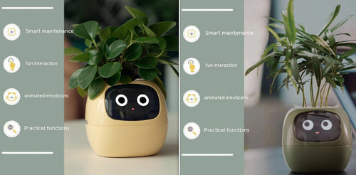 Smart Planter Endless Fun Over 49 Rich Expressions 7 Smart Sensors And - 
