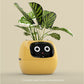 Smart Planter Endless Fun Over 49 Rich Expressions 7 Smart Sensors And 