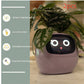 Smart Planter Endless Fun Over 49 Rich Expressions 7 Smart Sensors And - 