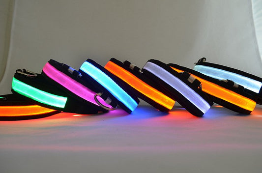 LED Light Up Dog Collar 