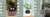 Smart Planter Endless Fun Over 49 Rich Expressions 7 Smart Sensors And - 