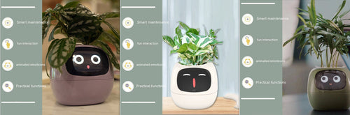 Smart Planter Endless Fun Over 49 Rich Expressions 7 Smart Sensors And - 