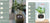 Smart Planter Endless Fun Over 49 Rich Expressions 7 Smart Sensors And - 