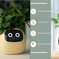 Smart Planter Endless Fun Over 49 Rich Expressions 7 Smart Sensors And - 