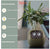 Smart Planter Endless Fun Over 49 Rich Expressions 7 Smart Sensors And - 