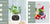 Smart Planter Endless Fun Over 49 Rich Expressions 7 Smart Sensors And - 