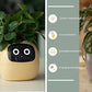 Smart Planter Endless Fun Over 49 Rich Expressions 7 Smart Sensors And - 
