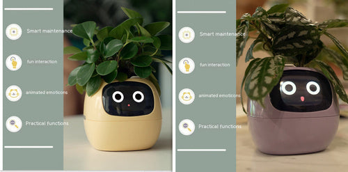 Smart Planter Endless Fun Over 49 Rich Expressions 7 Smart Sensors And - 