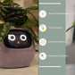 Smart Planter Endless Fun Over 49 Rich Expressions 7 Smart Sensors And - 