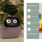 Smart Planter Endless Fun Over 49 Rich Expressions 7 Smart Sensors And - 