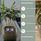 Smart Planter Endless Fun Over 49 Rich Expressions 7 Smart Sensors And - 