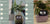 Smart Planter Endless Fun Over 49 Rich Expressions 7 Smart Sensors And - 