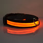 LED Light Up Dog Collar 