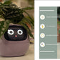 Smart Planter Endless Fun Over 49 Rich Expressions 7 Smart Sensors And - 