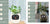 Smart Planter Endless Fun Over 49 Rich Expressions 7 Smart Sensors And - 