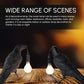 Raven Desk Lamp Halloween Decoration Crow Light for Halloween Decor 