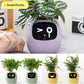 Smart Planter Endless Fun Over 49 Rich Expressions 7 Smart Sensors And 