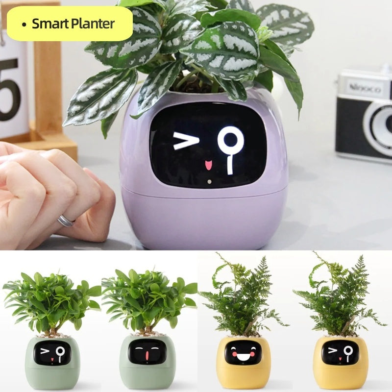 Smart Planter Endless Fun Over 49 Rich Expressions 7 Smart Sensors And 