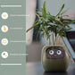 Smart Planter Endless Fun Over 49 Rich Expressions 7 Smart Sensors And - 