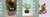 Smart Planter Endless Fun Over 49 Rich Expressions 7 Smart Sensors And - 