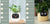 Smart Planter Endless Fun Over 49 Rich Expressions 7 Smart Sensors And - 