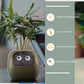 Smart Planter Endless Fun Over 49 Rich Expressions 7 Smart Sensors And - 