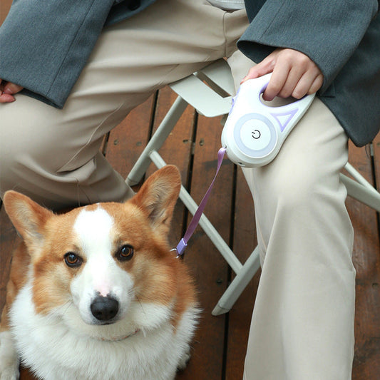 Dog Leash Retractable Leash And Dog Collar Spotlight Automatic Pet Dog 