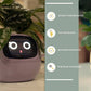 Smart Planter Endless Fun Over 49 Rich Expressions 7 Smart Sensors And - 