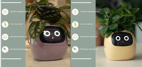 Smart Planter Endless Fun Over 49 Rich Expressions 7 Smart Sensors And - 