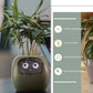 Smart Planter Endless Fun Over 49 Rich Expressions 7 Smart Sensors And - 
